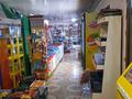 Магазины и бутики • 180 м² за 40 млн 〒 в Таразе — фото 16