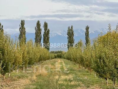 Участок · 3.35 га, Есик за 32 млн 〒