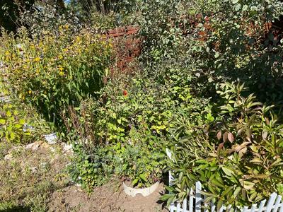 Дача · 3 комнаты · 40 м² · 6 сот., 28 — За Молдагулова, за Куленовкой за 2 млн 〒 в Усть-Каменогорске, Ульбинский