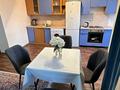 3-комнатная квартира · 100 м² · 11/12 этаж, Муратбаева 14/8 — Макатаева за 20 000 ₸ в Алматы, Алмалинский р-н — фото 14