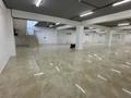 Еркін · 510 м², бағасы: ~ 2.6 млн ₸ в Алматы, Наурызбайский р-н — фото 12