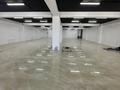 Еркін · 510 м², бағасы: ~ 2.6 млн ₸ в Алматы, Наурызбайский р-н — фото 21