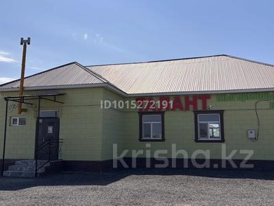 Еркін · 220 м², бағасы: 350 000 ₸ в 