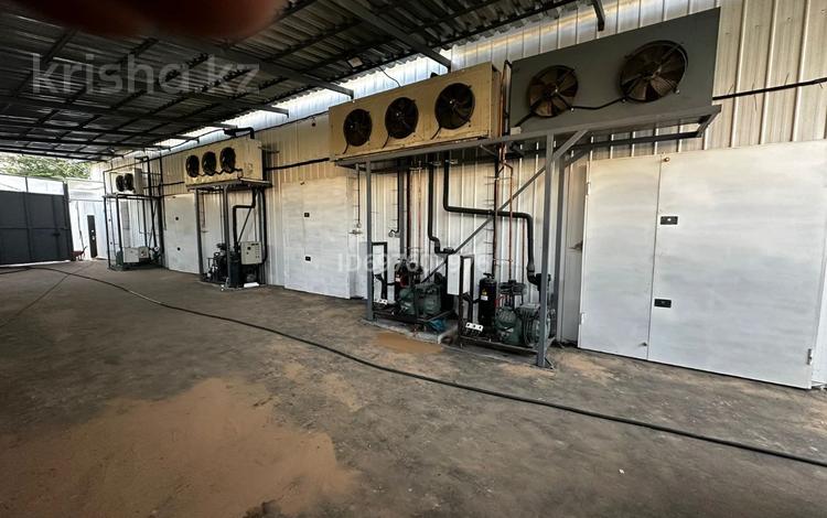 Промбаза · 9 соток, Центральная 31 за 140 млн 〒 в Кыргауылдах — фото 4