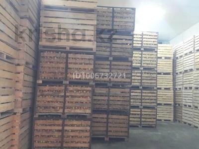 Алмабау · 25000 м², бағасы: 250 млн 〒 в Шымкенте