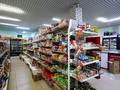 Офисы, магазины и бутики, склады, общепит, образование, развлечения · 800 м² за 195 млн ₸ в Алматы, Наурызбайский р-н — фото 16