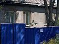 Отдельный дом · 4 комнаты · 81 м² · 11 сот., Томирис 158 за 9 млн ₸ в Акколе