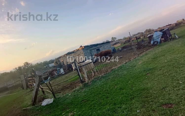 Отдельный дом · 4 комнаты · 120 м² · 10 сот., Бейбітшілік 18 — Бұхар жырау ауданы Тоғызқұдық ауылы за 3 млн 〒 в Караганде — фото 4