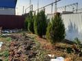 Отдельный дом · 4 комнаты · 200 м² · 8 сот., Алматы 35 за 98 млн ₸ в  — фото 32