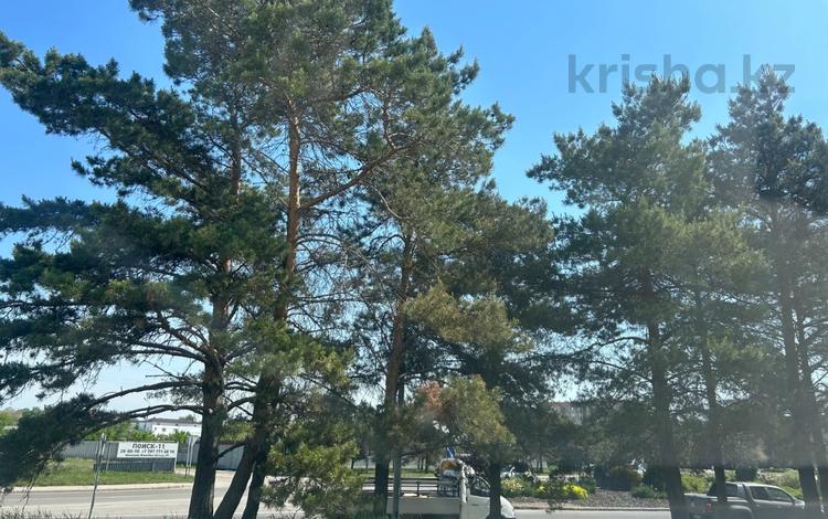 Участок · 16.22 сотки, Карбышева 2а за 170 млн ₸ в Костанае — фото 2