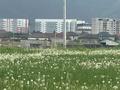 Участок · 4 сотки, Жана курылыс за 5.3 млн ₸ в Талгаре — фото 2
