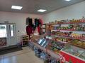 Продуктовый магазин · 105 м² за 9.8 млн ₸ в Кенесарах — фото 4