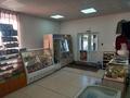 Продуктовый магазин · 105 м² за 9.8 млн ₸ в Кенесарах — фото 5