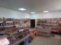 Продуктовый магазин · 105 м² за 9.8 млн ₸ в Кенесарах — фото 6
