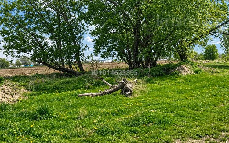 Жер телімі · 11 сотық, Талғар, бағасы: 21 млн ₸ в Талгаре — фото 16