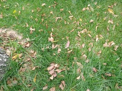 Участок · 1 га, мкр Туран 222 — Алматинская трасса за 250 млн 〒 в Шымкенте, Каратауский р-н