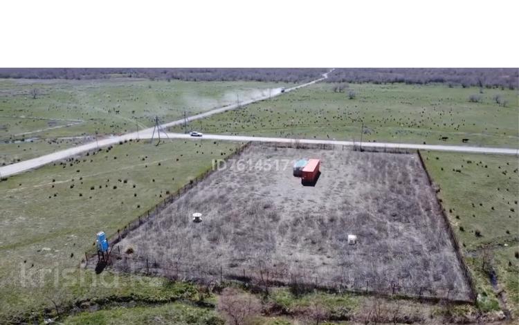 Участок · 40 соток, Берег зона отдыха Алакол за 35 млн 〒 в  — фото 5