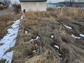 Участок · 7 соток, И-сектор 32 — Байтерекский сельски округ енбекшинский рн за 5 млн 〒 в Есик — фото 5