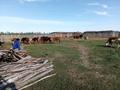 Жер телімі · 190 га, Баканас, бағасы: 20 млн ₸ — фото 5