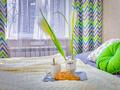1-комнатная квартира · 15 м² · 1/5 этаж, Казыбек Би 126 — Толе би за 15 000 ₸ в Алматы, Алмалинский р-н — фото 2