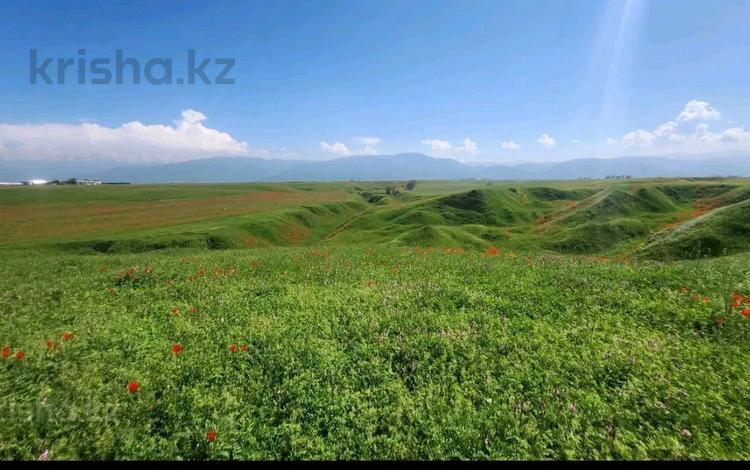 Жер телімі · 3 га, Қаскелең, бағасы: 220 млн ₸ в Каскелене — фото 2