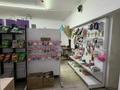 Еркін · 140 м², бағасы: 29 млн ₸ в Алматы, Жетысуский р-н — фото 10