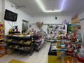 Еркін · 140 м², бағасы: 29 млн ₸ в Алматы, Жетысуский р-н — фото 2