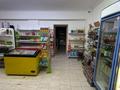 Еркін · 140 м², бағасы: 29 млн ₸ в Алматы, Жетысуский р-н — фото 4