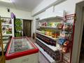 Еркін · 140 м², бағасы: 29 млн ₸ в Алматы, Жетысуский р-н — фото 5
