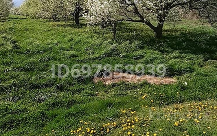Участок · 2 га, Байдибек би за 17 млн ₸ — фото 13