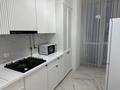 2-бөлмелі пәтер · 130 м² · 9/9 қабат, мкр Шымсити, Байдибек би 115/10, бағасы: 2 500 ₸ в Шымкенте, Абайский р-н — фото 8