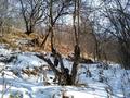 Участок · 10 соток, Керей-Жанибек Хандар за 48 млн ₸ в Алматы, Медеуский р-н — фото 3