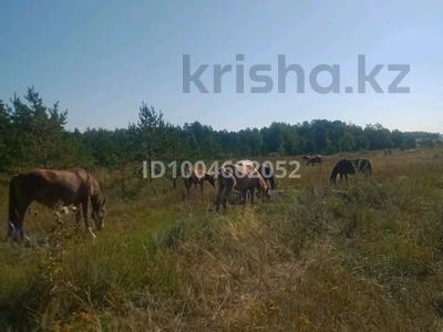 Участок · 16 га, Сагадат Нурмагамбетова 211 за 32 млн 〒 в Акколе