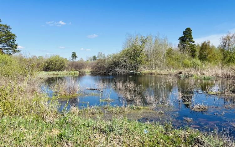 Жер телімі · 25 сотық, Ақкөл, бағасы: 15 млн ₸ в Акколе — фото 2