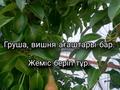Жеке үй · 4 бөлме · 150 м² · 10 жүзд., мкр Коктем, 27-я улица 5 — Минимаркет Арман, бағасы: 18 млн ₸ в Атырау — фото 15