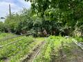 Отдельный дом · 5 комнат · 80 м² · 12 сот., Тектурмас 54 — Бобек за 18 млн 〒 в Таразе — фото 2