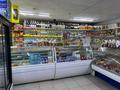 Магазины и бутики · 201.5 м² за 60 млн ₸ в Аксу — фото 2