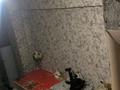 1-комнатная квартира · 19 м² · 8/8 этаж, мкр Аксай-1, Раймбека 512 — Саина/Ташкентская за 150 000 ₸ в Алматы, Ауэзовский р-н — фото 17