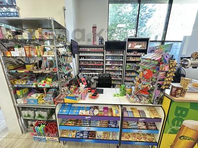 Готовый бизнес · 100 м² за 20 млн ₸ в Астане, Нура р-н