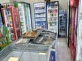 Готовый бизнес · 100 м² за 20 млн ₸ в Астане, Нура р-н — фото 12