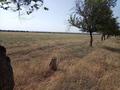 Жер телімі · 10 га, Қарғалы — Карьер, бағасы: 285 млн ₸ в Каргалы (п. Фабричный)