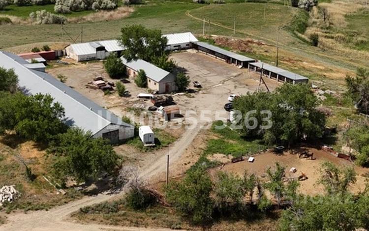 Свободное назначение, склады, азс, автосервисы и автомойки, сельское хозяйство · 1000 м² за 500 000 〒 в Талдыкоргане — фото 2