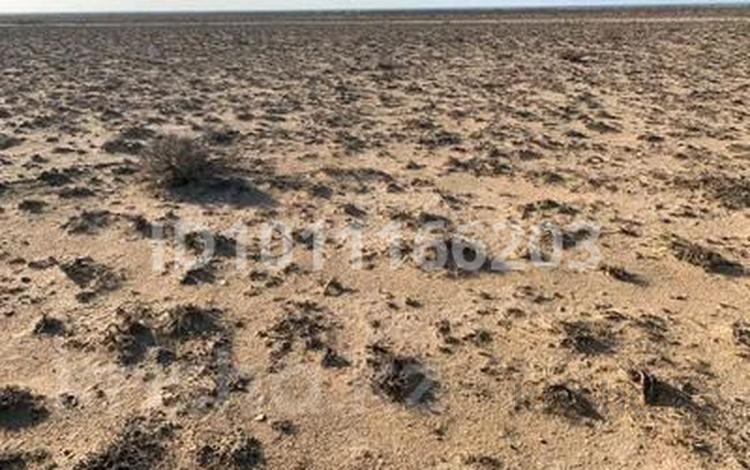 Участок · 100 га, 43 за 5.5 млн ₸ в  — фото 2