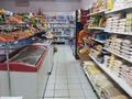 Магазины и бутики • 160 м² за 30 млн 〒 в Шортандах — фото 9