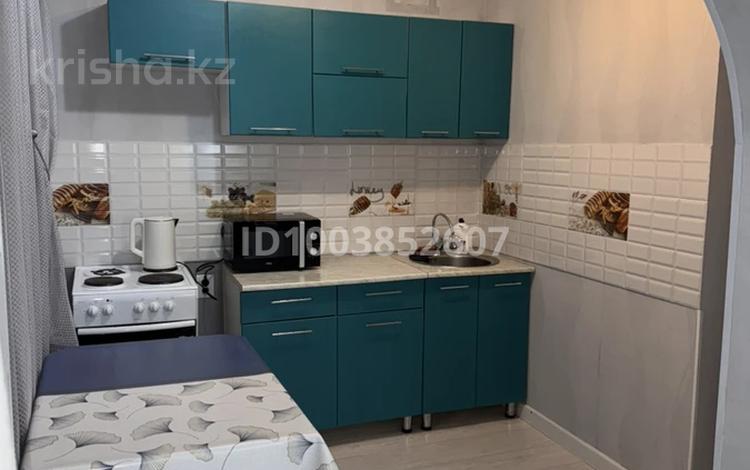 1-комнатная квартира · 30.5 м² · 5 этаж, 17- микрорайон за 10 000 ₸ в Балхаше — фото 6