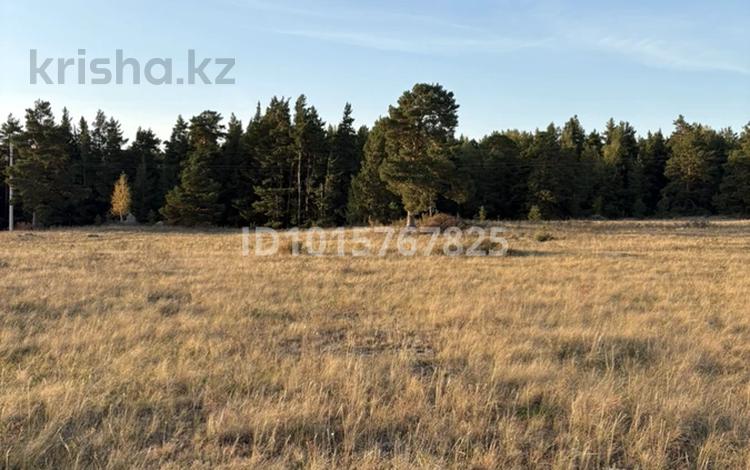 Жер телімі · 2 га, Жүкей, бағасы: 4 млн ₸ в  — фото 2
