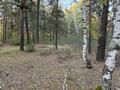 Жер телімі · 2 га, Жүкей, бағасы: 4 млн ₸ в  — фото 6