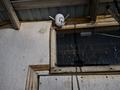 Часть дома · 2 комнаты · 70 м² · 10 сот., 209 за 12 млн ₸ в Актобе — фото 29