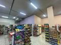 Магазины и бутики • 115 м² за 80 млн 〒 в Астане, Есильский р-н — фото 10
