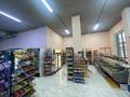 Магазины и бутики • 115 м² за 80 млн 〒 в Астане, Есильский р-н — фото 3